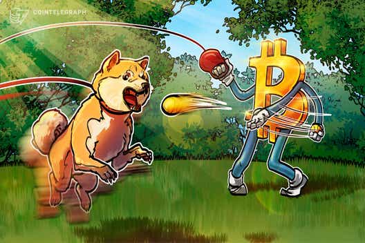 Voll verhun(d)zt – Dogecoin verliert nach großem Hype 70 Prozent gegenüber Bitcoin