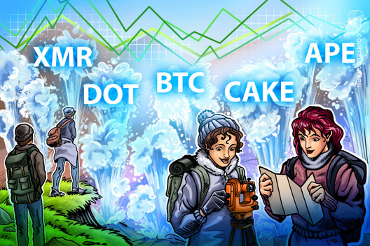 Top-5-Kryptowährungen diese Woche: Bitcoin (BTC), Polkadot (DOT), Monero (XMR), ApeCoin (APE), CakeSwap (CAKE)